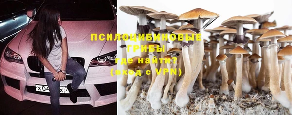 винт Баксан