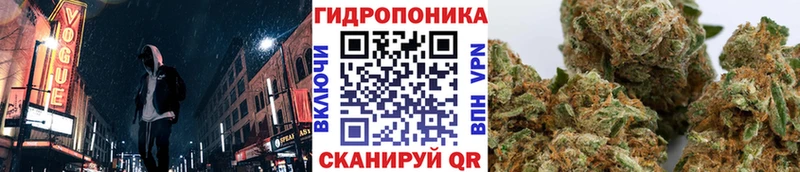 Бошки марихуана сатива  дарнет шоп  Окуловка 
